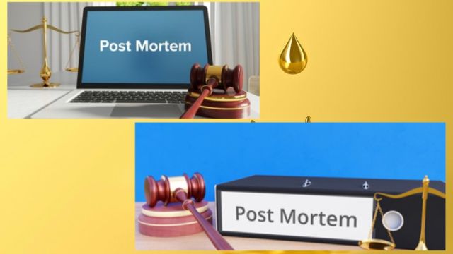 pixiz-04-08-2022-18-50-52