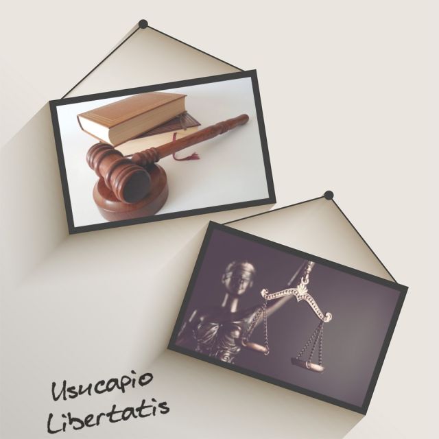 pixiz-08-01-2021-19-35-23