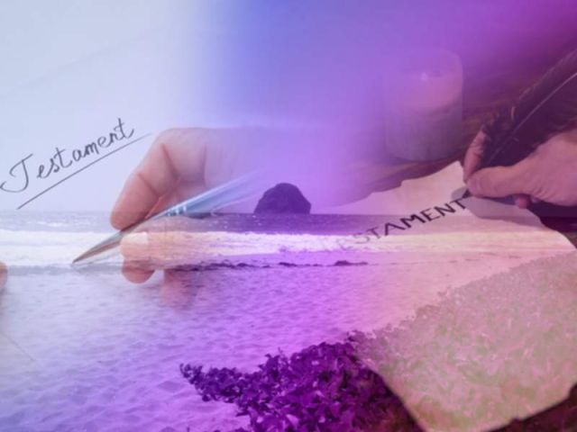 pixiz-28-04-2019-12-15-41